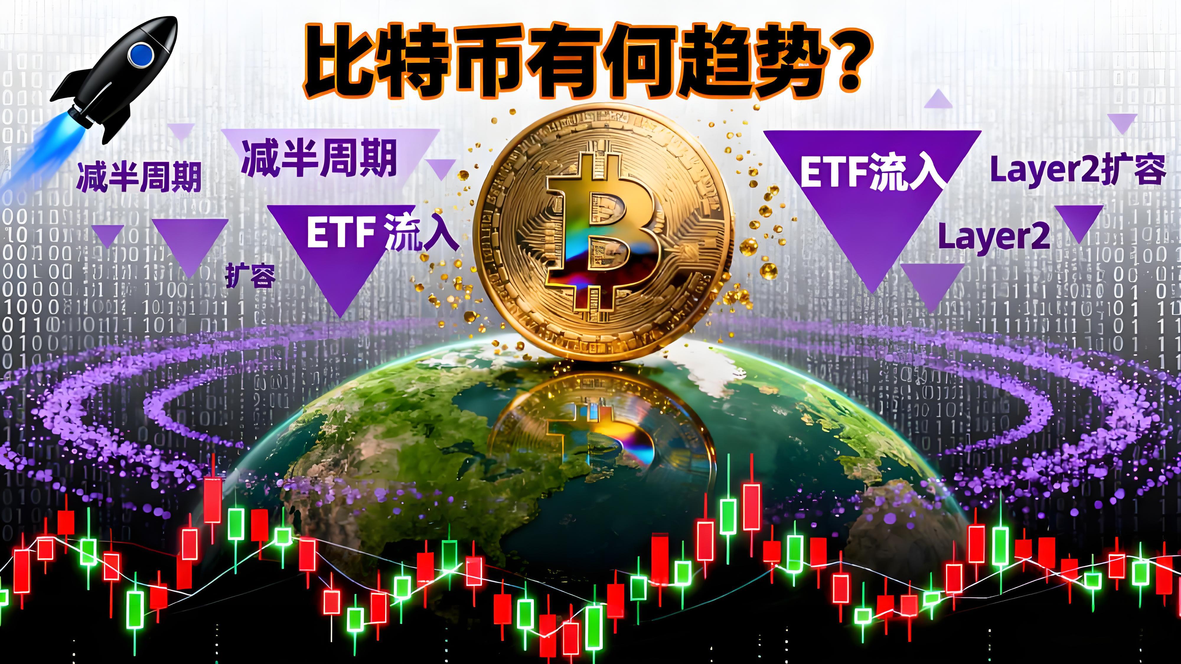 比特币20年价格曲线透露哪些信号?