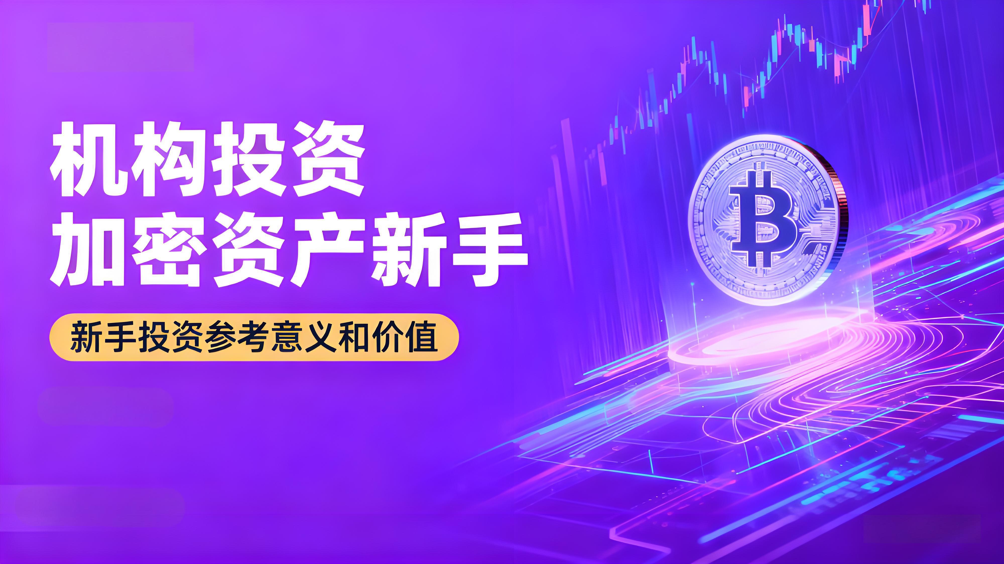 机构投资的加密资产新手是否能当作投资目标？